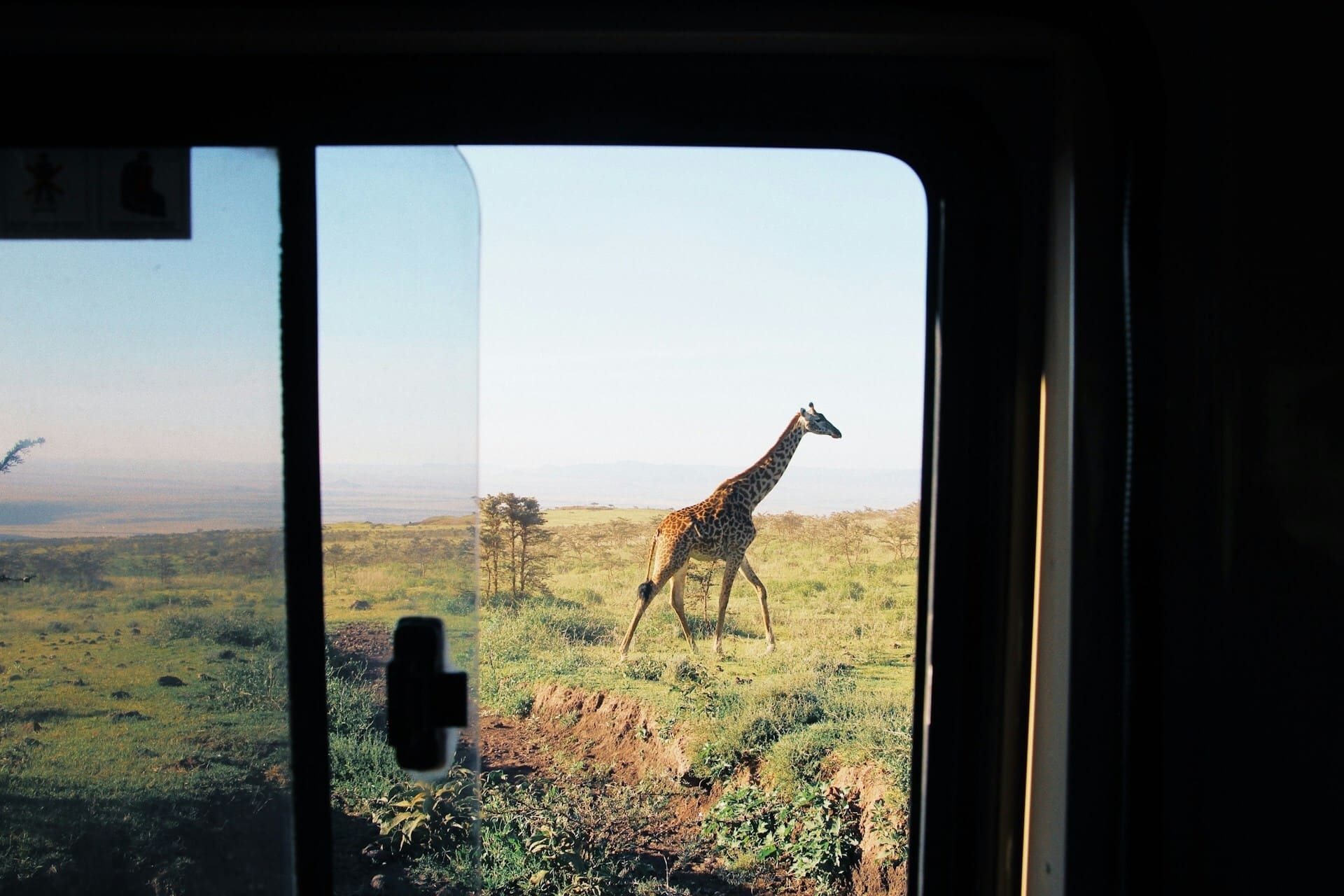 girafe-tanzanie-safari