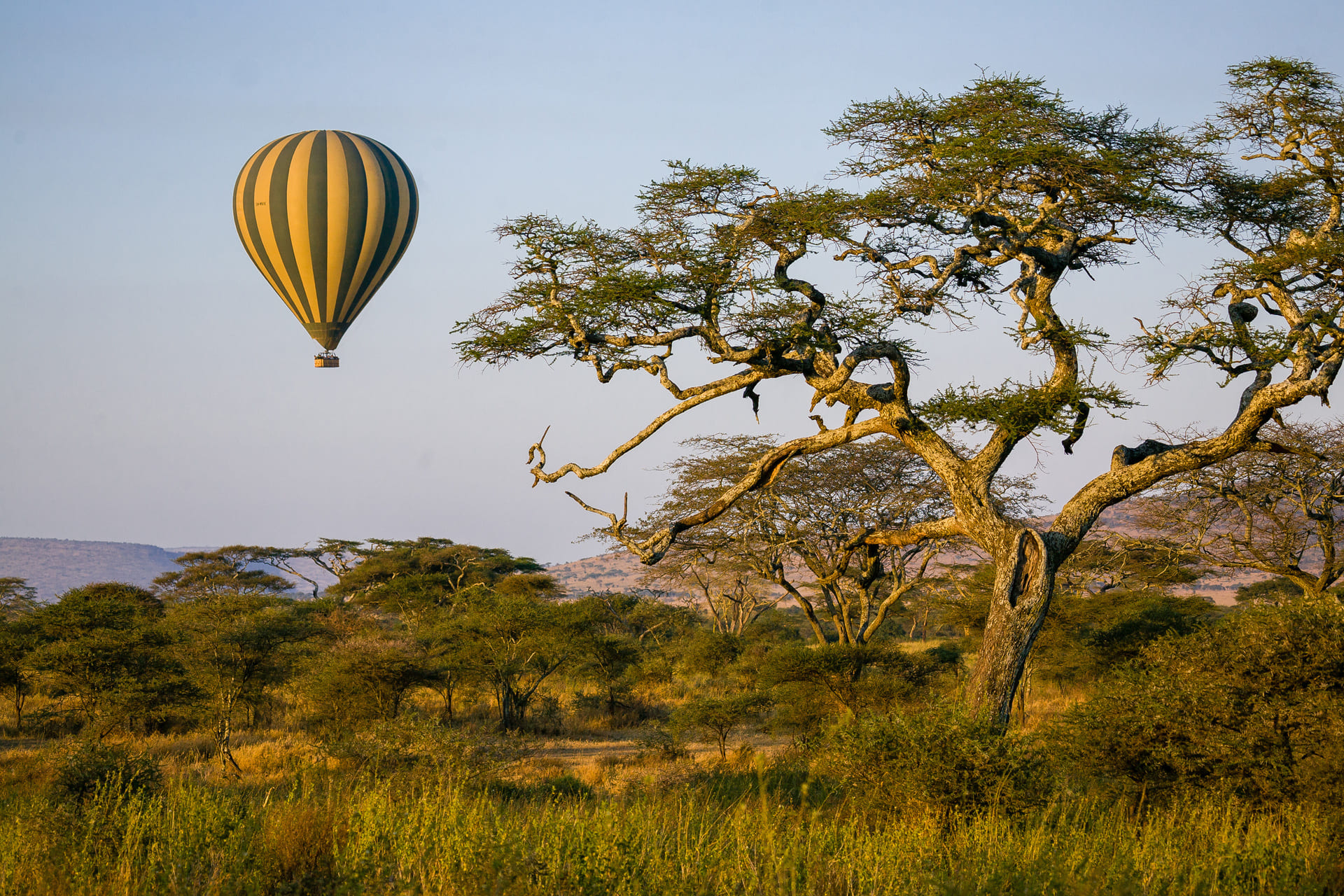 montgolfiere-serengeti-tanzanie